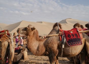 Tantangan Hijrah Shuhaib bin Sinan ar-RumiTantangan Hijrah Shuhaib bin Sinan ar-Rumi