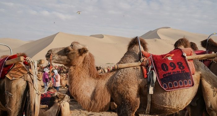 Tantangan Hijrah Shuhaib bin Sinan ar-RumiTantangan Hijrah Shuhaib bin Sinan ar-Rumi