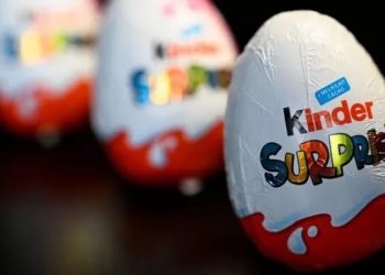 Apa itu Bakteri Salmonella? Bakteri yang Membuat Telur Kinder Ditarik dari Pasaran