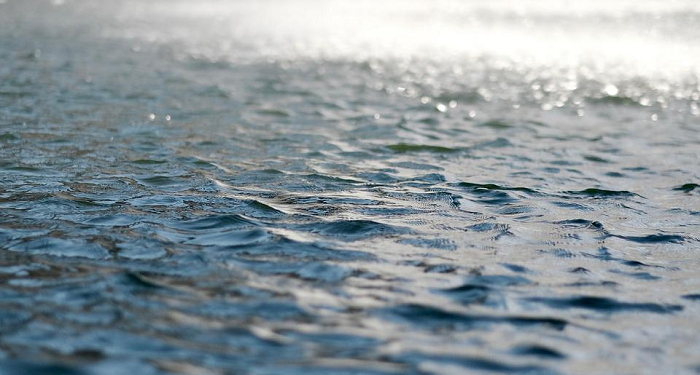 Tanda-Tanda Hati yang Sehat