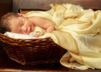 Adakah Zakat Fitrah Untuk Bayi?