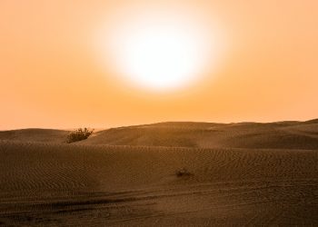 Abu Bakar Menebus Bilal dengan Harga 250 Juta