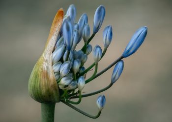 Doa Memperoleh Rahmat