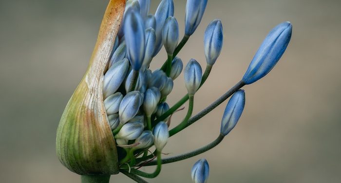 Doa Memperoleh Rahmat