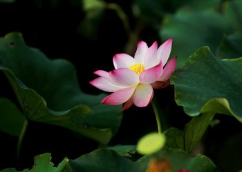 Tanda Wanita Tak Mau Surga