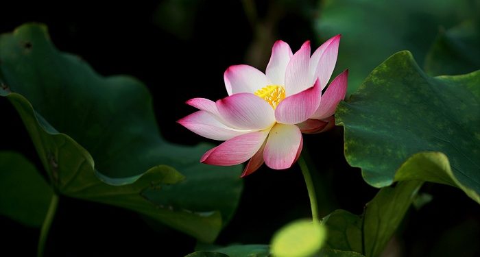 Tanda Wanita Tak Mau Surga