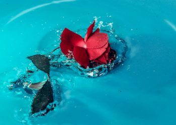 Takdir Allah yang Terbaik