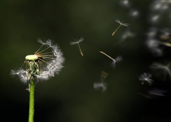 Tidak Semua Orang Berpuasa Mendapatkan Kenaikan Takwa