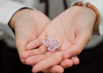 Suami Istri Membutuhkan Variasi