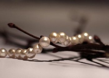 Satu Kalimat Zikir Yang Memiliki Banyak Keutamaan