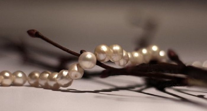 Satu Kalimat Zikir Yang Memiliki Banyak Keutamaan