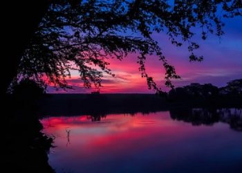 Surah Paling Pendek dalam Al-Qur'an