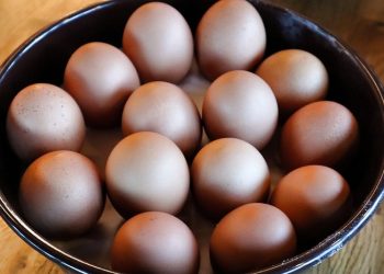 Cara Terbaik Makan Telur Saat Hamil serta Manfaatnya