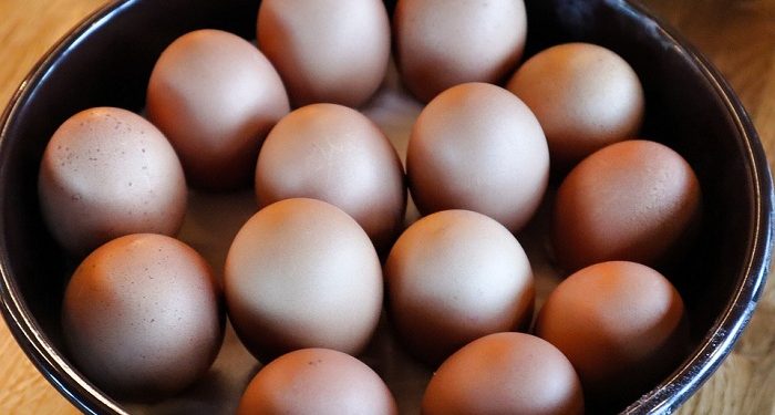 Cara Terbaik Makan Telur Saat Hamil serta Manfaatnya