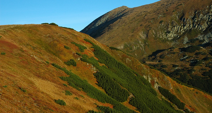 Rasulullah dan Abu Bakar Berhasil Pergi Meninggalkan Mekkah