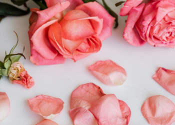 Zuhud Tidak Identik dengan Kemiskinan