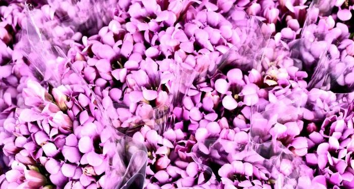 Gunakanlah Kesempatan untuk Berdakwah