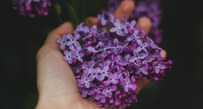 Sifat Merasa Cukup itu sangat Membahagiakan