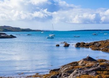 Kisah Ulama Pemberani dan Kapal Minuman Keras