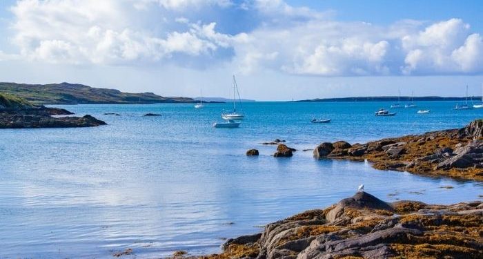 Kisah Ulama Pemberani dan Kapal Minuman Keras