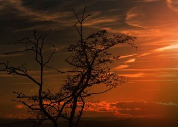 Surat Al-Falaq ayat 1 dan 2, Berlindung kepada Tuhan yang Menguasai Subuh