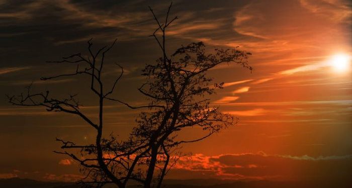 Surat Al-Falaq ayat 1 dan 2, Berlindung kepada Tuhan yang Menguasai Subuh