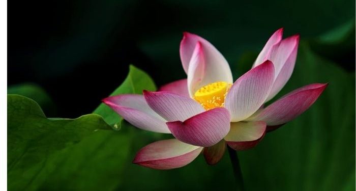 Cara Mengajarkan Tauhid kepada Anak-anak