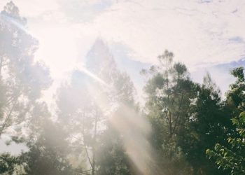 Tanda-tanda Heat Stroke