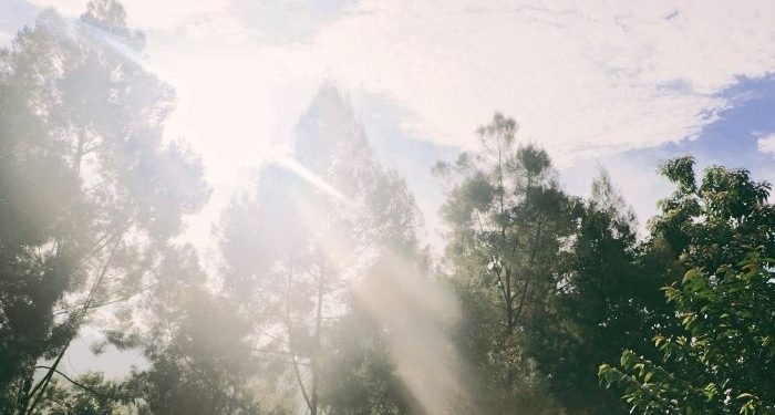 Tanda-tanda Heat Stroke