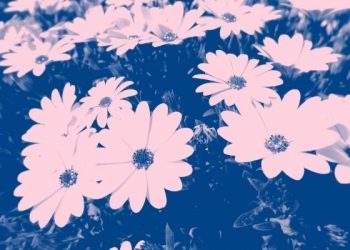 Kepribadian Ibnul Qayyim