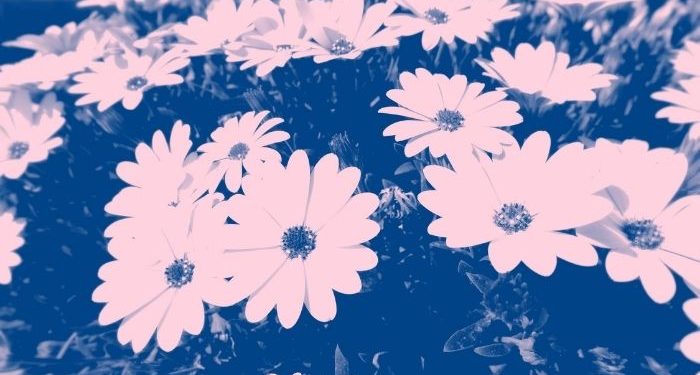 Kepribadian Ibnul Qayyim