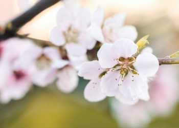 Orang Beriman Khawatir Amalannya Tidak Diterima