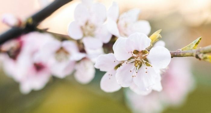 Orang Beriman Khawatir Amalannya Tidak Diterima