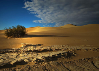 Menyikapi Perselisihan Pendapat Tentang Daulah Bani Umayyah