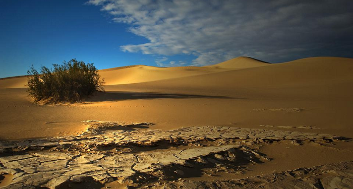 Menyikapi Perselisihan Pendapat Tentang Daulah Bani Umayyah