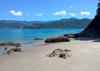 Ammar bin Yasir (5) - Menjadi Gubernur Kufah