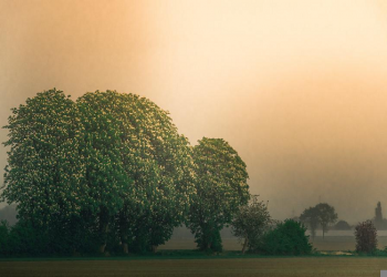 Allah Inginkan Kebaikan Pada Hamba-Nya