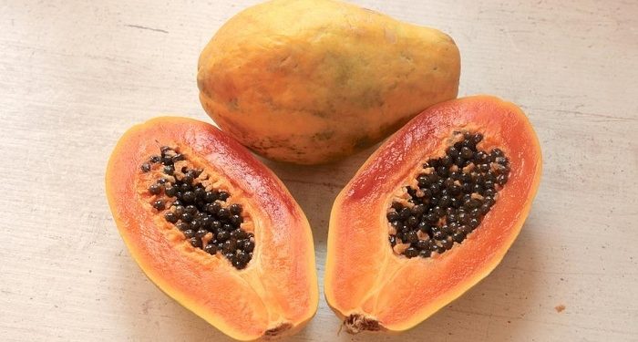 Konsumsi Pepaya Bagi Ibu Hamil