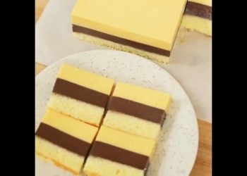 Resep Puding Lapis Surabaya