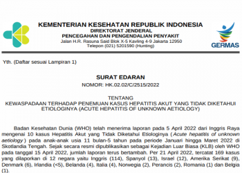 Isi Surat Edaran Kemenkes tentang Kewaspadaan terhadap Penemuan Hepatitis Akut yang Tidak Diketahui