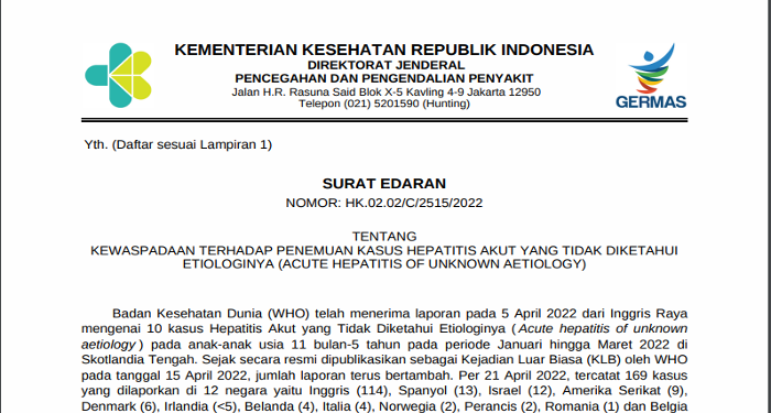 Isi Surat Edaran Kemenkes tentang Kewaspadaan terhadap Penemuan Hepatitis Akut yang Tidak Diketahui