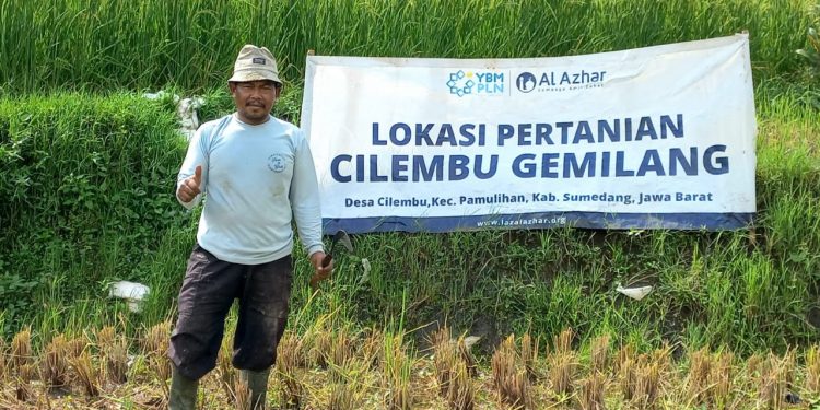 Rumah Pembiayaan Pertanian (RPP) Hadir Menjadi Solusi Bagi Petani Ubi dan Padi di Desa Cilembu
