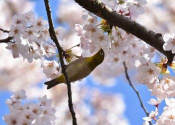 Membangun Peradaban dari Keluarga