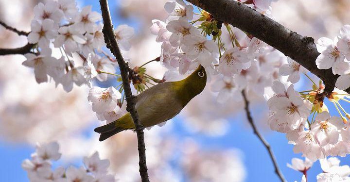 Membangun Peradaban dari Keluarga