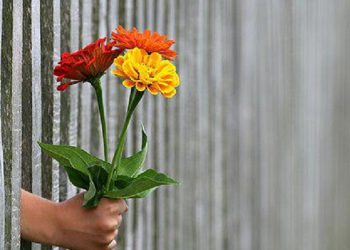 Ucapan Selamat Kepada Orang yang Tertimpa Musibah