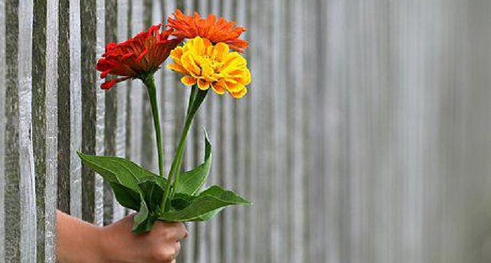 Ucapan Selamat Kepada Orang yang Tertimpa Musibah