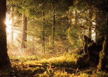 Rahasia Kekuatan Manusia