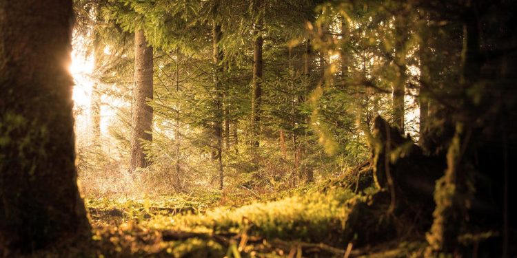 Rahasia Kekuatan Manusia