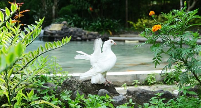 Keutamaan Hari Jumat