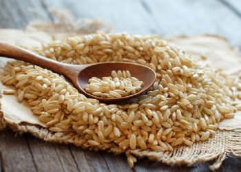 Mau Diet? Yuk Ketahui Jumlah kalori Setiap Beras